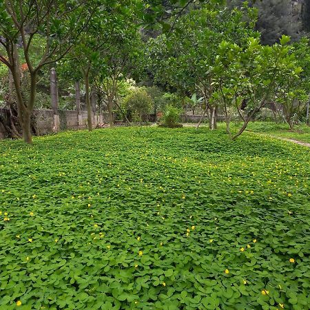 Yen Binh Homestay Ninh Binh Exteriér fotografie