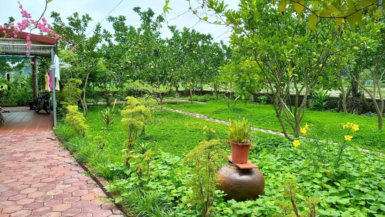 Yen Binh Homestay Ninh Binh Exteriér fotografie