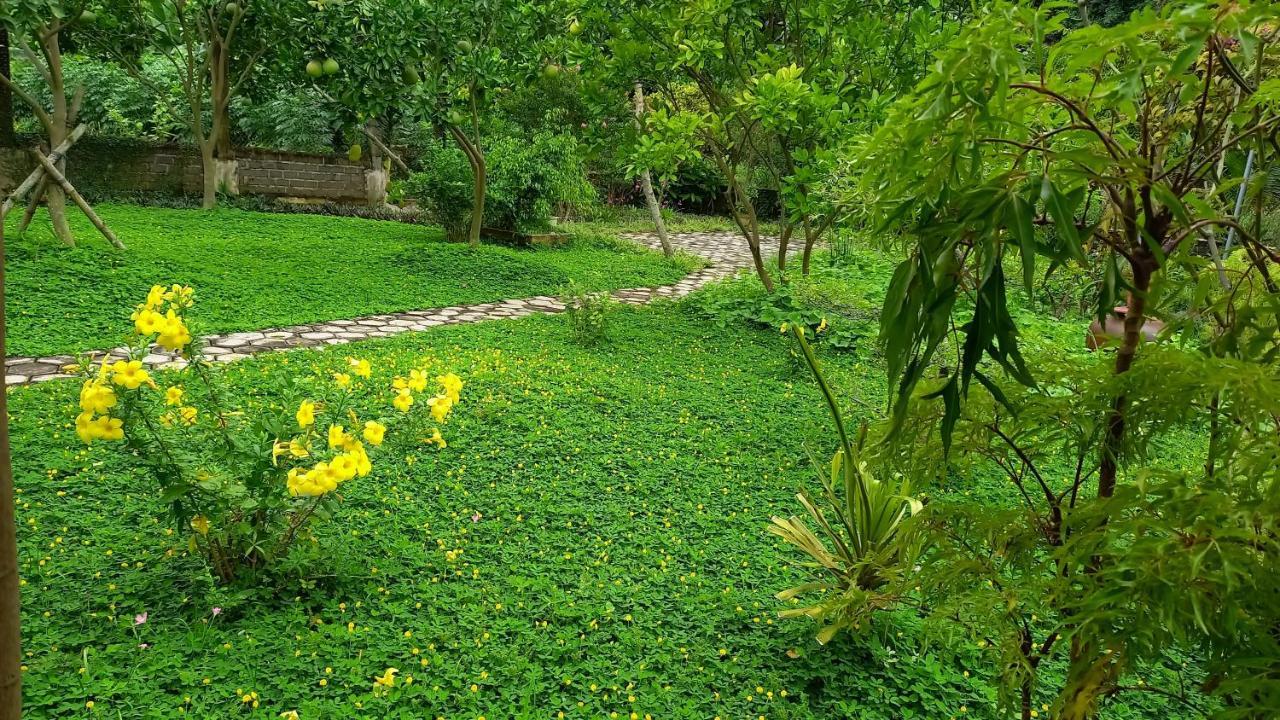 Yen Binh Homestay Ninh Binh Exteriér fotografie