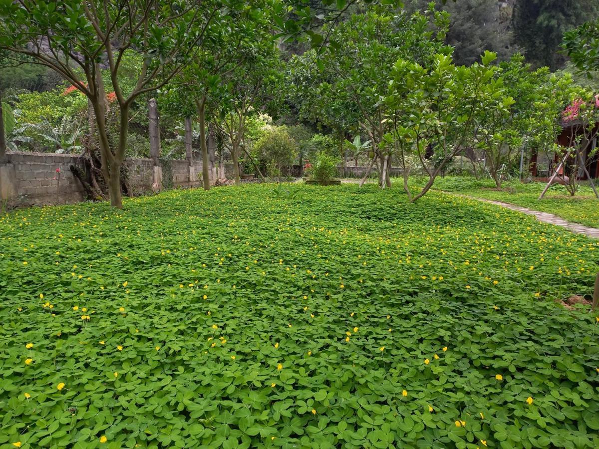 Yen Binh Homestay Ninh Binh Exteriér fotografie