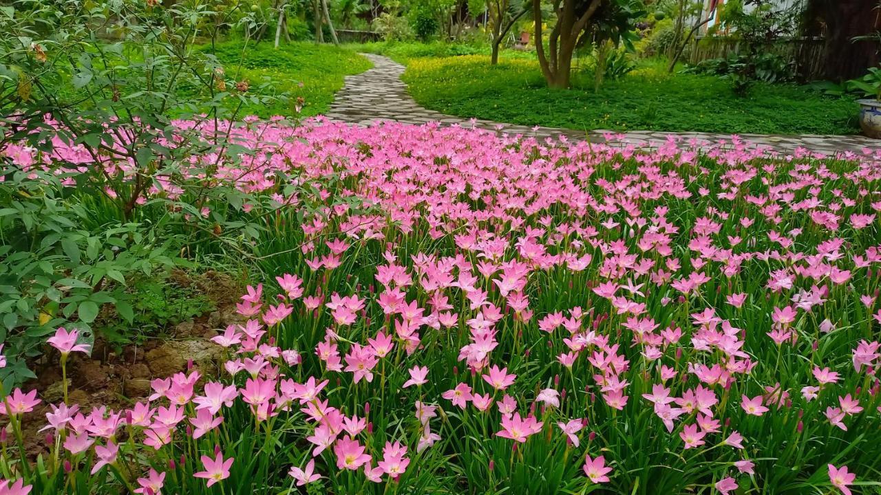Yen Binh Homestay Ninh Binh Exteriér fotografie