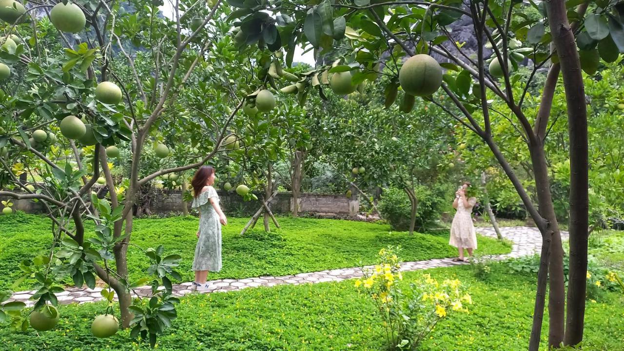 Yen Binh Homestay Ninh Binh Exteriér fotografie