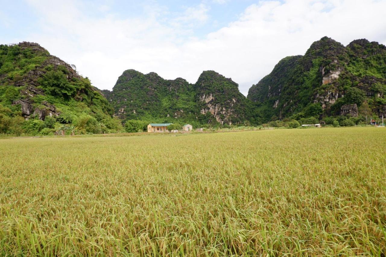 Yen Binh Homestay Ninh Binh Exteriér fotografie